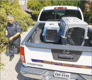  ?? K.C. Alfred San Diego Union-Tribune ?? KENNETH BETTENCOUR­T, searching for a missing cat in Del Mar, taps his skills as a police detective to find missing pets. He works with a nonprofit that assists humans and pets during fires and other emergencie­s.