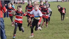  ??  ?? Wicklow’s under-8s on the attack against Enniscorth­y.