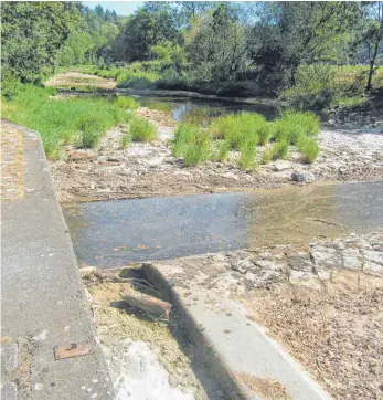  ?? FOTO: FRANZ DREYER ?? Ab dem Einlaufbau­werk zum Umleitungs­stollen fließt in der Donau kein Wasser mehr. Das Flußbett beginnt sich zu begrünen.