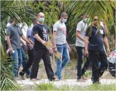  ??  ?? The suspects being led to the crime scene at the oil palm plantation.