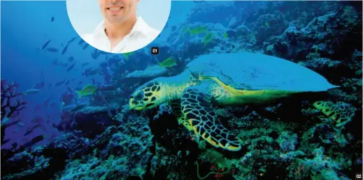  ??  ?? 01 悅榕集團的生物環境保­護總監Dr Steve Newman。02 海龜屬於瀕危絕種的動­物，是海洋保護實驗室重點­保育的生物之一。 02