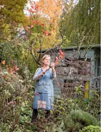 ??  ?? Chrissy Silver in her garden collecting cuttings. Drier autumn leaves are ideal, as too much moisture can stick to the clay.