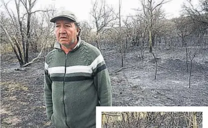  ?? (RAMIRO PEREYRA) ?? En llamas. A Alfredo Gómez, puestero en el campo Las Brisas, a la vera de la autopista Córdoba-Carlos Paz, los oportunos ladridos de su dogo Suma y de otros perros lo salvaron del fuego que se acercaba a su casa ayer a la madrugada.