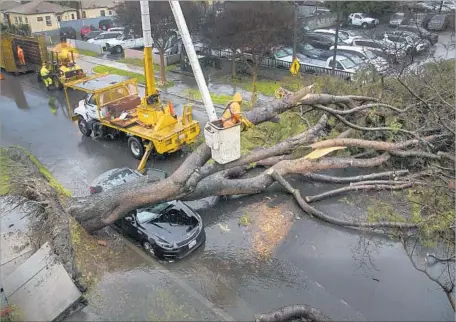  ?? Gina Ferazzi Los Angeles Times ?? CITY CREWS work to clear a large tree that fell across Olive Street in Alhambra during the rainstorm, smashing a parked car. In a sign of the power of the winds, the Los Angeles Fire Department responded to more 150 reports of downed wires.