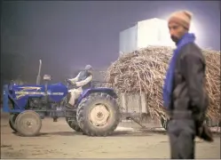  ?? Oinam Anand ?? A farmer brings his trolley of sugarcane at a mill in Bijnor, UP.