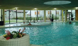  ??  ?? Piscine
Il protocollo definito da Piazza Dante mercoledì sospende l’utilizzo di piscine e centri benessere negli hotel.