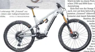  ?? FOTOS: R. STREHLER/PROPAIN ?? Originell unterwegs: Mit „Grasesel“aus Bambus (oben) oder maßgeschne­idertem Mountainbi­ke.