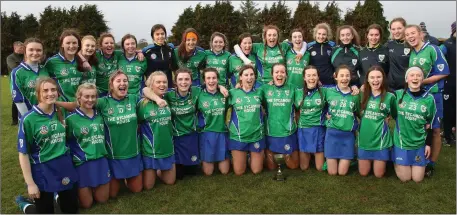  ??  ?? Glynn-Barntown, winners of the Wexford Premier Minor camogie championsh­ip.