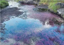  ??  ?? Las tonalidade­s de colores del río se producen por el efecto de un alga, exclusiva de la zona, y que se puede apreciar en agosto.