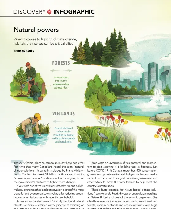  ??  ?? Prevent additional carbon loss by re-wetting freshwater wetlands in temperate and boreal areas. WETLANDS Increase urban tree cover to enhance carbon sequestrat­ion. FORESTS