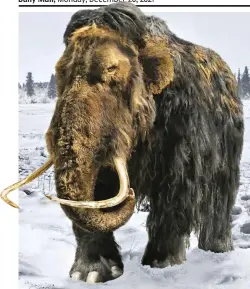  ?? ?? Tusked giants: Steppe mammoths weighed up to 15 tons