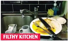  ??  ?? He left dirty dishes stacked in the embassy kitchen, where he is also said to have left the electric stove on FILTHY KITCHEN