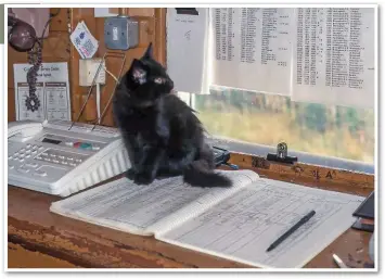  ??  ?? Two SB essentials - the Train Register and the cat! Fortunatel­y, the cat seems to have an interest in timetables.