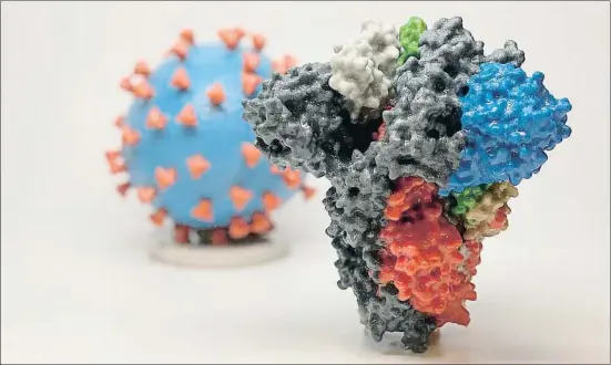  ?? HANDOUT / AFP ?? Modelo de la proteína S de la membrana del coronaviru­s creado con una impresora 3D