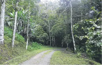  ?? FOTOS: JOSÉ E, CARÍAS ?? La reserva ecológica es el refugio de más de mil especies de animales y plantas.