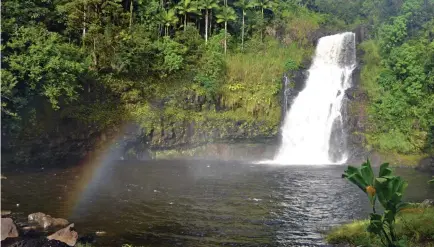  ?? (Catharine Hamm/Los Angeles Times/TNS) ?? GUESTS MAY, with permission, swim in the pond at the base of Kulaniapia Falls, a 40-meter-tall cascade about five kilometers from Hilo on Hawaii Island.