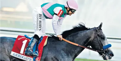  ??  ?? Something to prove: Record money-winner Arrogate attempts to bounce back at the Breeders’ Cup after lacklustre efforts