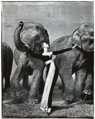  ?? Museum of Fine Arts, Houston ?? Richard Avedon’s “Dovima with Elephants, Evening Dress by Dior, Cirque d’Hiver, Paris, August 1955” is among the most iconic fashion photograph­s of all time.