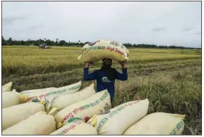  ?? (Bloomberg News (WPNS)/Veejay Villafranc­a) ?? A man lifts a sack of freshly harvested rice in the Philippine­s earlier this month.