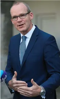  ??  ?? Dismissed fears: Minister Simon Coveney