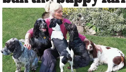  ??  ?? The dog whisperer: Hilary Graham with her five rescue dogs