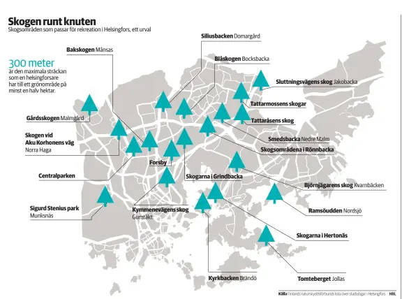  ??  ?? ■ Skogen behöver inte vara långt borta ens i Helsingfor­s – HBL har samlat skogsområd­en som kanske inte är så välkända.