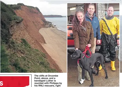  ?? Pictures: APEX ?? The cliffs at Orcombe Point, above, and a bandaged Luther is reunited with Philippa by his RNLI rescuers, right