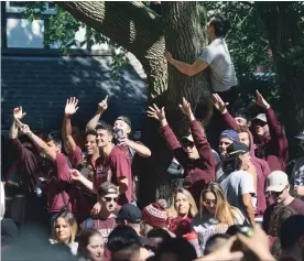  ?? HAMILTON SPECTATOR FILE PHOTO ?? A massive party on Dalewood Avenue South to celebrate McMaster homecoming weekend last year saw hundreds of students clogging the street.