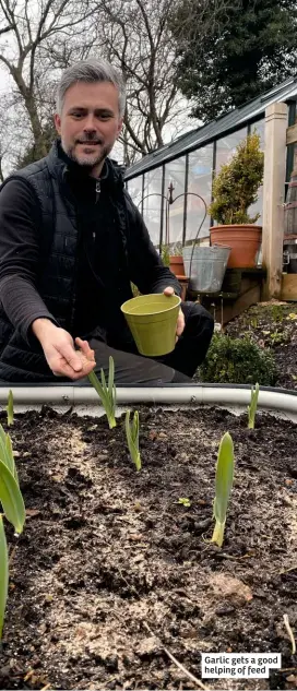  ??  ?? Garlic gets a good helping of feed