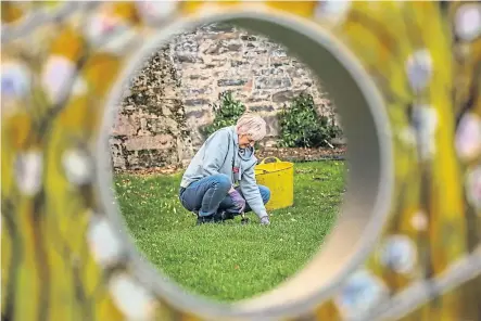  ?? ?? DOWN TO EARTH: Daffodil bulb planting at the Dundee Botanic Gardens encourages people to talk and share.