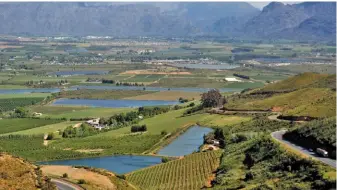  ?? FW ARCHIVE ?? Led primarily by good summer rainfall, prices for farmland in South Africa were stable during the 12-month period from January 2020 to January 2021.