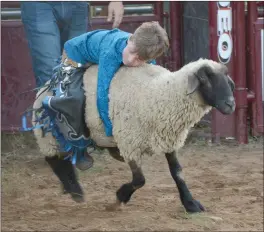  ?? Graham Thomas/Siloam Sunday ?? Dawson Payton of Watts, Okla., was the winner of the Mutton Busting competitio­n on Thursday at the Siloam Springs Rodeo.