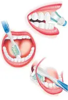  ?? Picture: SUPPLIED ?? Maintainin­g a healthy mouth is crucial to keeping it functionin­g correctly and for maintainin­g overall health and quality of life.