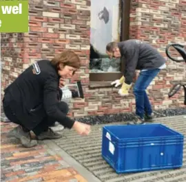  ?? FOTO EVA ?? Medewerker­s van de Kringwinke­l ruimden gisteren het glas van het kapotte venster op.