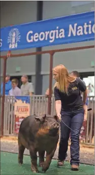  ?? Contribute­d ?? Gordon Central High School senior Savannah Duvall found her passion in Agricultur­e and by participat­ing in Future Farmers of America.