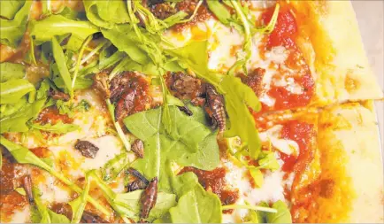  ?? Erik Verduzco Las Vegas Review-journal ?? The Canyon Hopper pizza at Evel Pie is topped with arugula and fried, seasoned Mexican grasshoppe­rs.