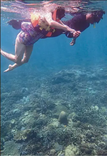  ?? — ANdReW sIA/ The star ?? A guide taking a tourist snorkellin­g at the Tip of Borneo. ecotourism in TMP is still just starting out.