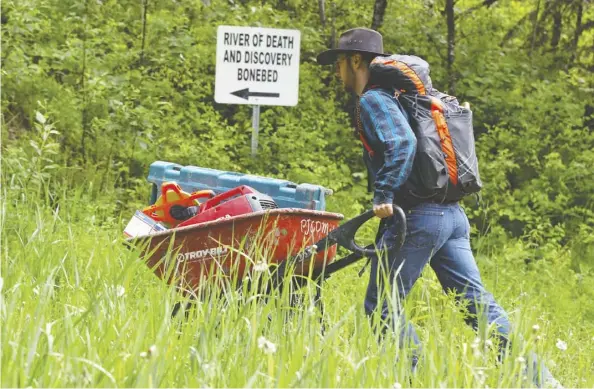  ??  ?? Summer field assistant Jackson Sweder carries equipment in a wheelbarro­w as he hikes into the Pipestone Creek bonebed.