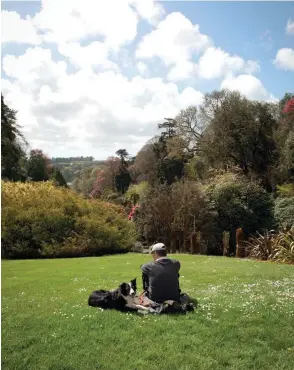  ??  ?? Above: Admiring the scenery at Trebah Garden, a 12-hectare paradise of subtropica­l flora that was first planted in the 1840s. Opposite, clockwisef­rom top left: The village gift shop in Mousehole; breakfast at the Artist Residence in Penzance; a guest room at the same hotel; a local farmer delivering salad greens to the Artist Residence.