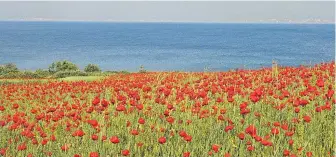  ?? [ Heilingset­zer] ?? Der Ohridsee gilt als der älteste See Europas.