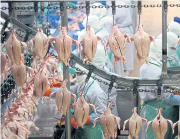  ?? APICHART JINAKUL ?? Workers process chicken meat at a CPF facility in Nakhon Ratchasima. The company seeks to increase revenue from its operations overseas by widening its foreign footprint.