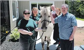  ?? BETH JOHNSTON
THE CANADIAN PRESS ?? Billy the Norwegian Fjord horse is shown with Krisandra Cairns, left, Dr. Mary McNiven, Peter Howatt, Justine MacPherson and Kerry McKenna during a visit to the Palliative Centre Centre in Charlottet­own, P.E.I.