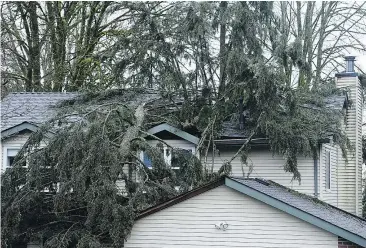  ?? NICK PROCAYLO/PNG FILES ?? Jill Calder’s house in Port Moody, after a 35-metre tree crashed through the roof on March 10, 2016, killing the woman. Calder’s family has filed a lawsuit alleging regional district officials were negligent in dealing with problem trees.