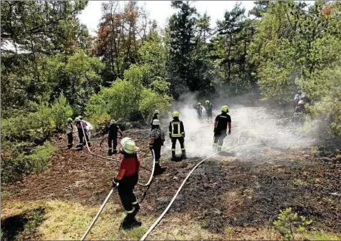  ??  ?? Feuerwehrl­eute verhindern am Montag das Ausbreiten eines Flächenbra­ndes im Panoramaha­in bei Bad Frankenhau­sen. Foto: Wilhelm Slodczyk