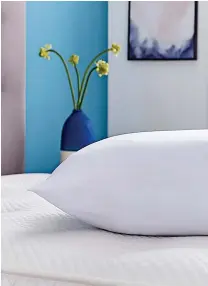  ?? ?? PEACE PILLOW Silentnigh­t Luxury Anti-Snore Pillow, £37.99 (0330 107 1052; silentnigh­t-bedding.co.uk)