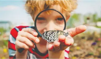  ?? GETTY IMAGES/ISTOCKPHOT­O ?? Parents should let their kids take care of wildlife “pets” before releasing them.