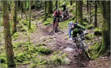  ??  ?? Government funding of ¤ 840,00 will now pay for the constructi­on of a National Mountain Bike Centre at Coolaney.