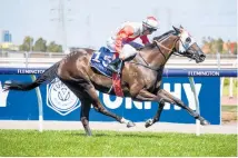  ?? Photo / Getty Images ?? Mystic Journey winning the Australian Guineas.