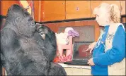  ?? RON KOHN — THE GORILLA FOUNDATION ?? Dr. Francine “Penny” Pattersonw­orks with Koko, who used American Sign Language. Koko died Tuesday at 46.