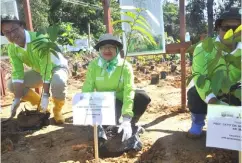  ??  ?? Dr Aini (centre), flanked by Uno (left) and Nik Muhamad plant the saplings.